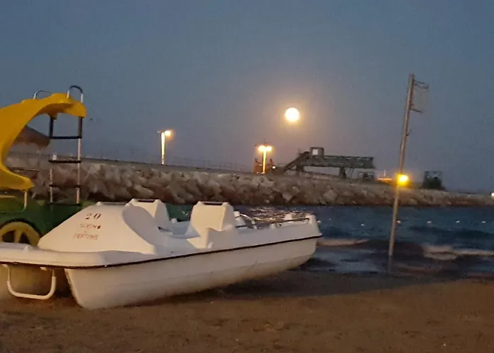 Juan Carlos Torrevieja